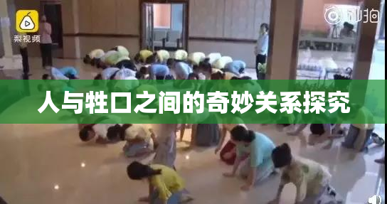人与牲口之间的奇妙关系探究
