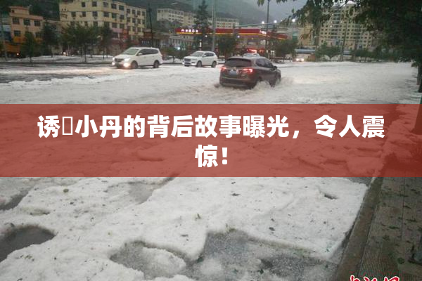 诱奷小丹的背后故事曝光，令人震惊！