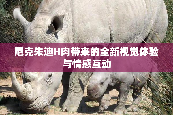 尼克朱迪H肉带来的全新视觉体验与情感互动