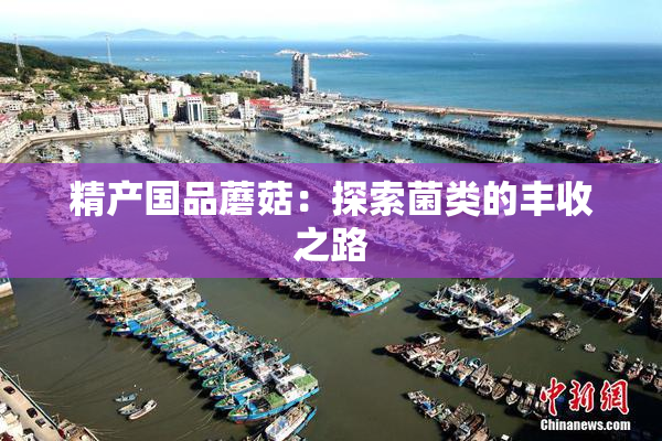 精产国品蘑菇：探索菌类的丰收之路