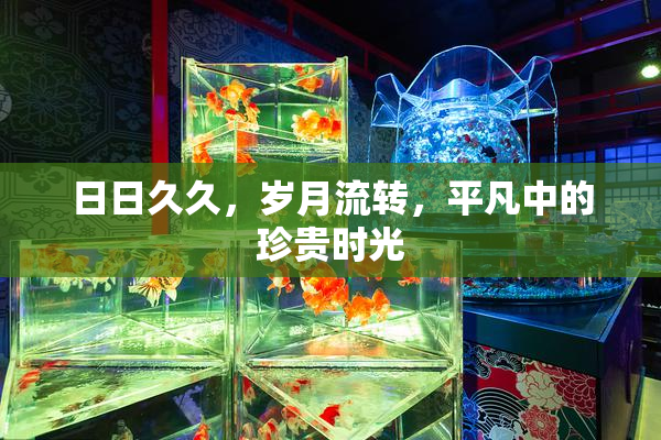日日久久，岁月流转，平凡中的珍贵时光