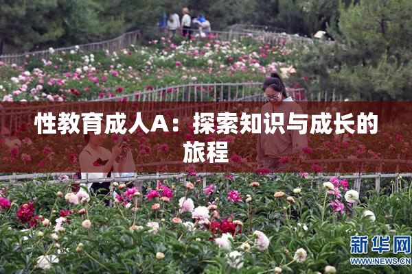 性教育成人A：探索知识与成长的旅程