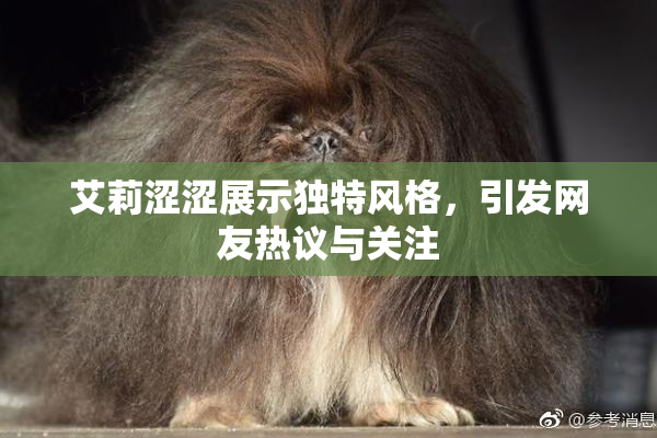 艾莉涩涩展示独特风格，引发网友热议与关注