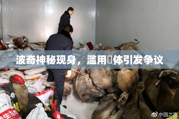 波奇神秘现身，滥用祼体引发争议
