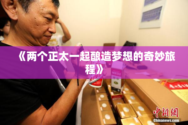 《两个正太一起酿造梦想的奇妙旅程》