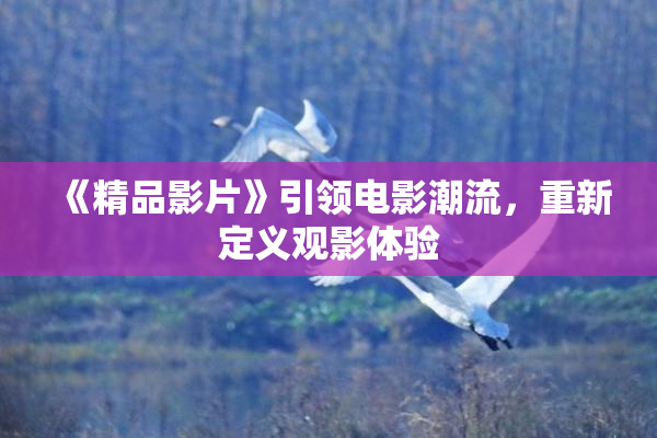 《精品影片》引领电影潮流，重新定义观影体验