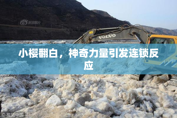 小樱翻白，神奇力量引发连锁反应