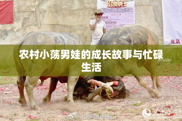 农村小荡男娃的成长故事与忙碌生活