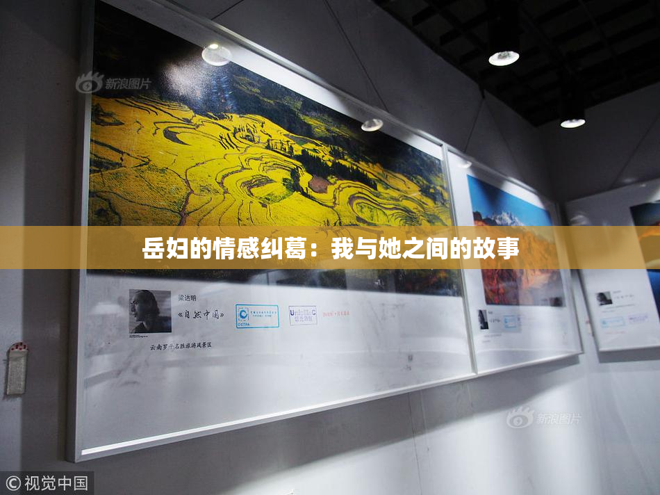 岳妇的情感纠葛：我与她之间的故事