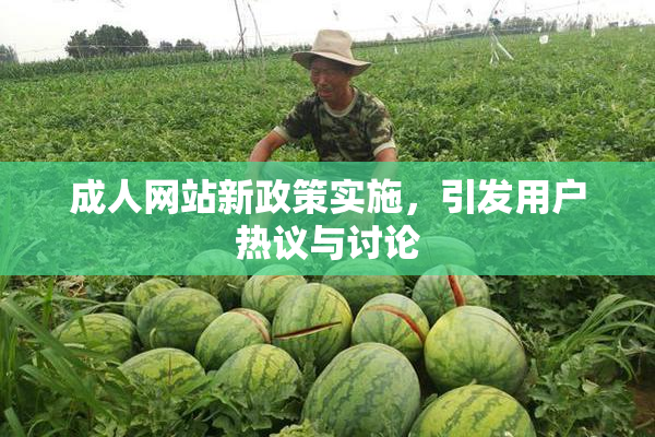 成人网站新政策实施，引发用户热议与讨论