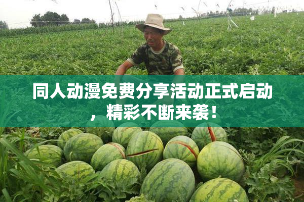 同人动漫免费分享活动正式启动，精彩不断来袭！