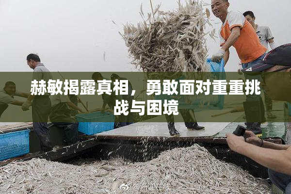 赫敏揭露真相，勇敢面对重重挑战与困境