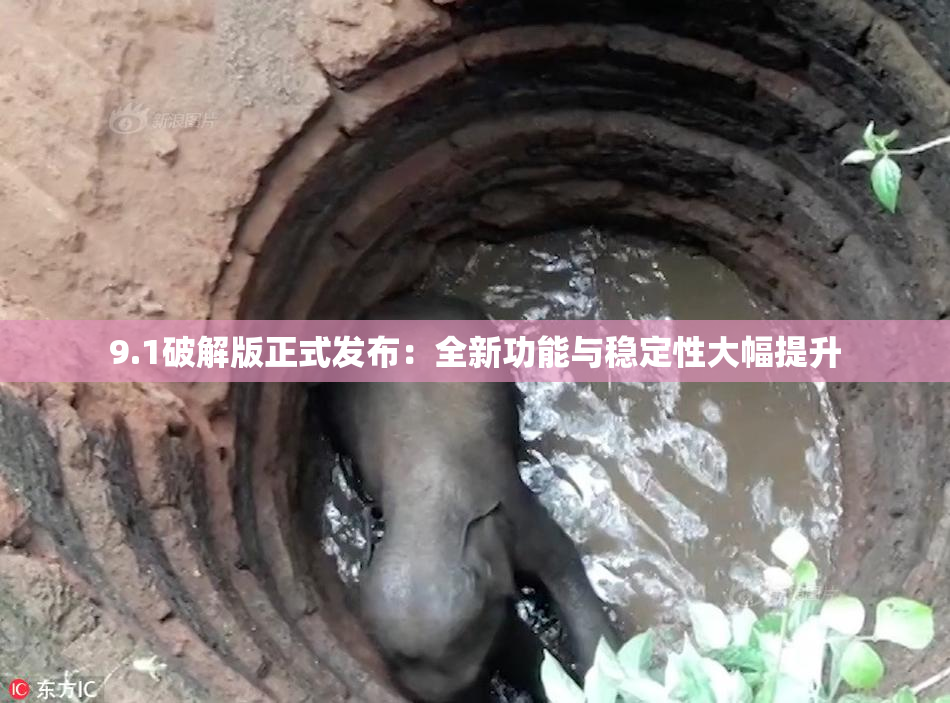 9.1破解版正式发布：全新功能与稳定性大幅提升