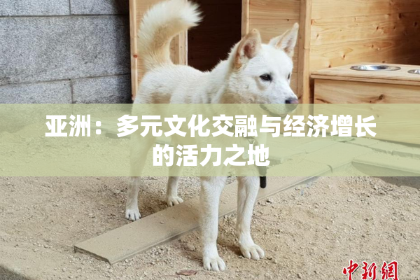 亚洲：多元文化交融与经济增长的活力之地