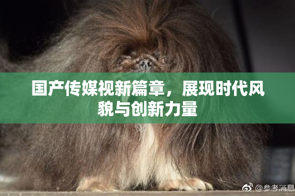 国产传媒视新篇章，展现时代风貌与创新力量