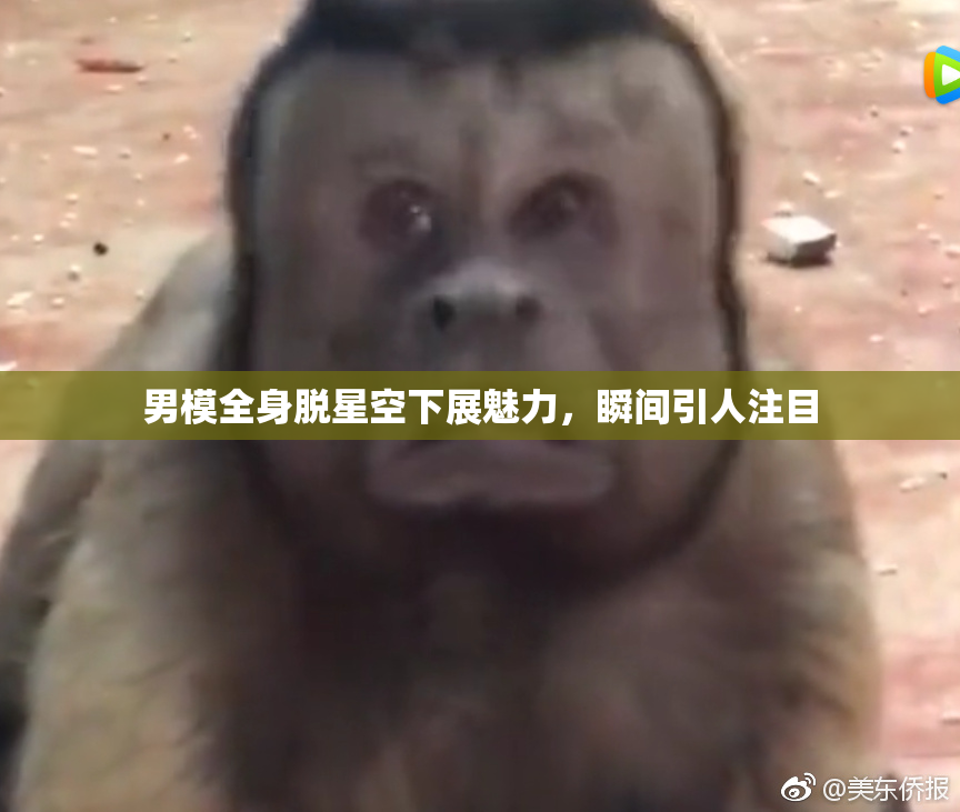 男模全身脱星空下展魅力，瞬间引人注目