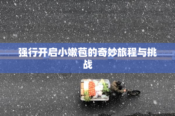 强行开启小嫩苞的奇妙旅程与挑战
