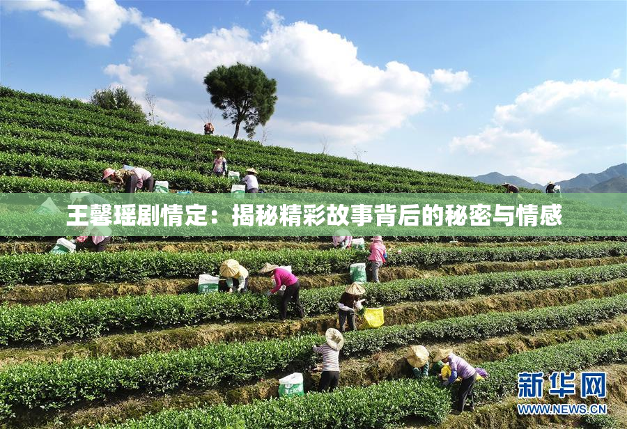 王馨瑶剧情定：揭秘精彩故事背后的秘密与情感