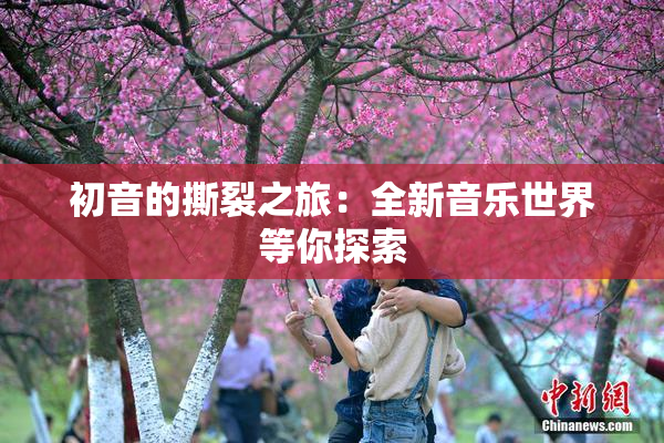 初音的撕裂之旅：全新音乐世界等你探索