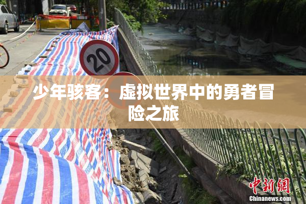 少年骇客：虚拟世界中的勇者冒险之旅
