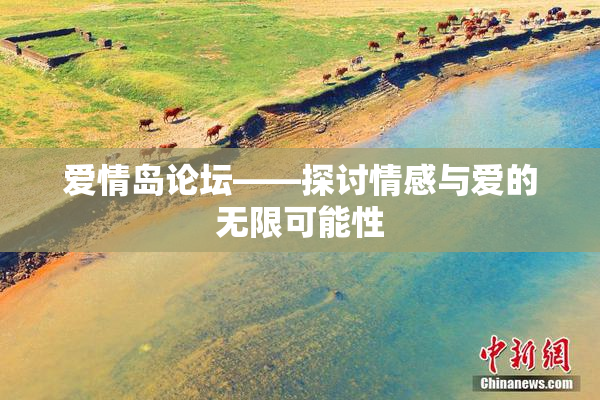爱情岛论坛——探讨情感与爱的无限可能性