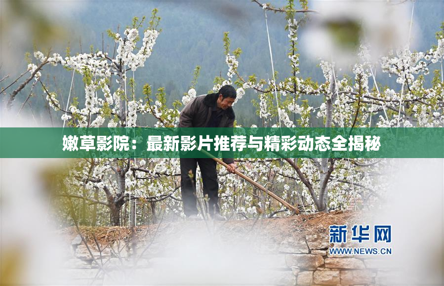 嫩草影院：最新影片推荐与精彩动态全揭秘
