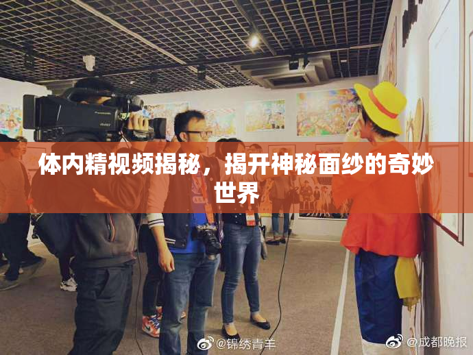 体内精视频揭秘，揭开神秘面纱的奇妙世界