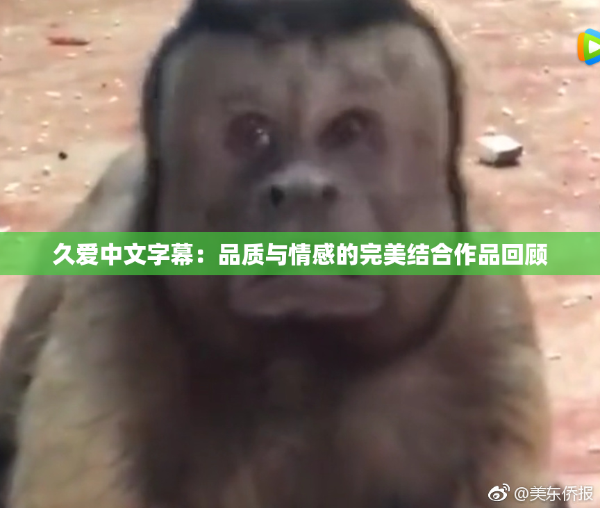 久爱中文字幕：品质与情感的完美结合作品回顾