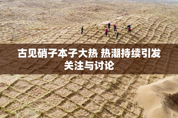 古见硝子本子大热 热潮持续引发关注与讨论