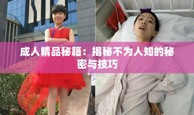 成人精品秘籍：揭秘不为人知的秘密与技巧