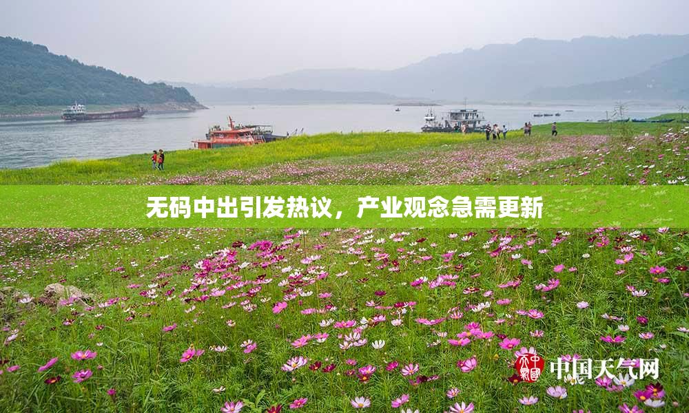 无码中出引发热议，产业观念急需更新