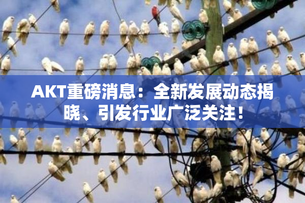 AKT重磅消息：全新发展动态揭晓、引发行业广泛关注！
