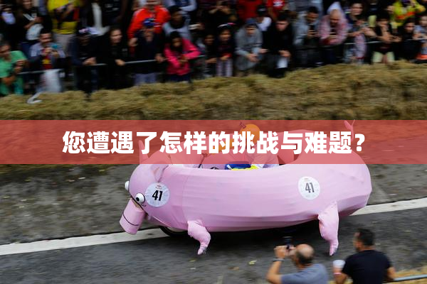 您遭遇了怎样的挑战与难题？