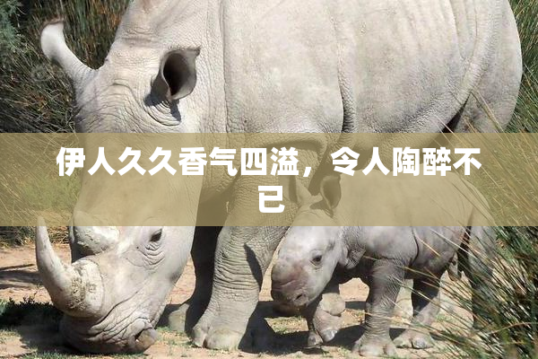 伊人久久香气四溢，令人陶醉不已