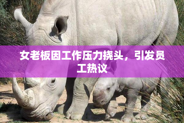女老板因工作压力挠头，引发员工热议