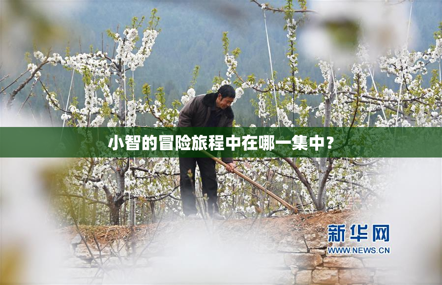 小智的冒险旅程中在哪一集中？