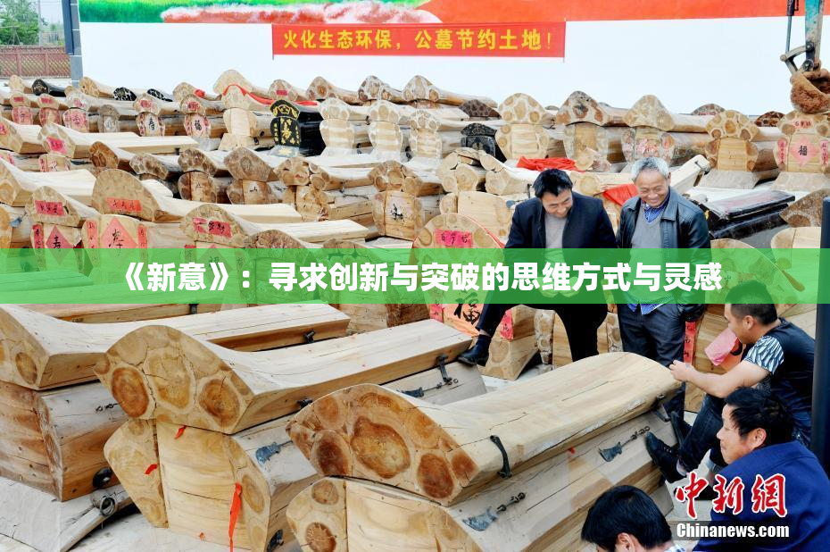 《新意》：寻求创新与突破的思维方式与灵感