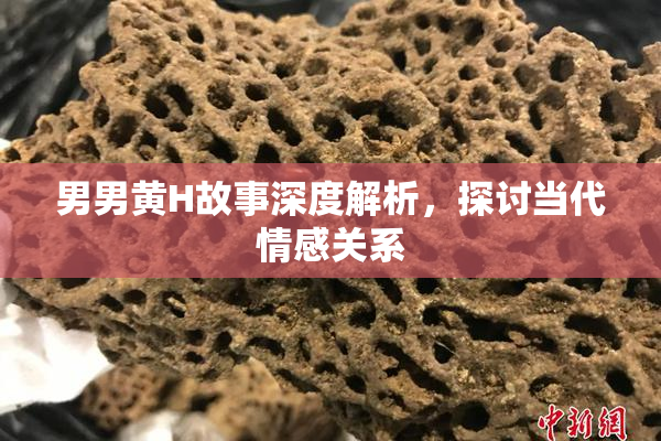 男男黄H故事深度解析，探讨当代情感关系