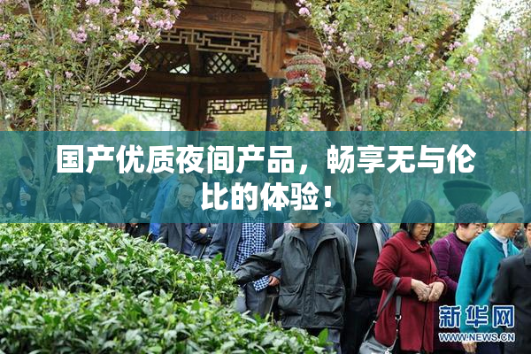 国产优质夜间产品，畅享无与伦比的体验！