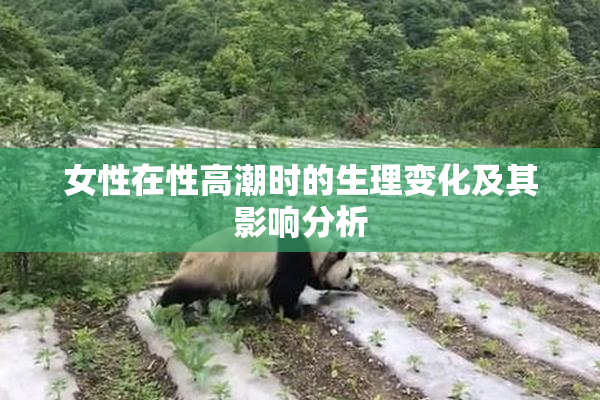女性在性高潮时的生理变化及其影响分析