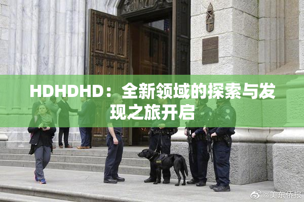HDHDHD：全新领域的探索与发现之旅开启