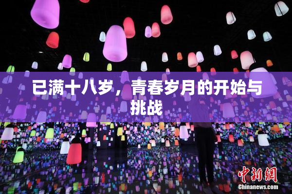 已满十八岁，青春岁月的开始与挑战