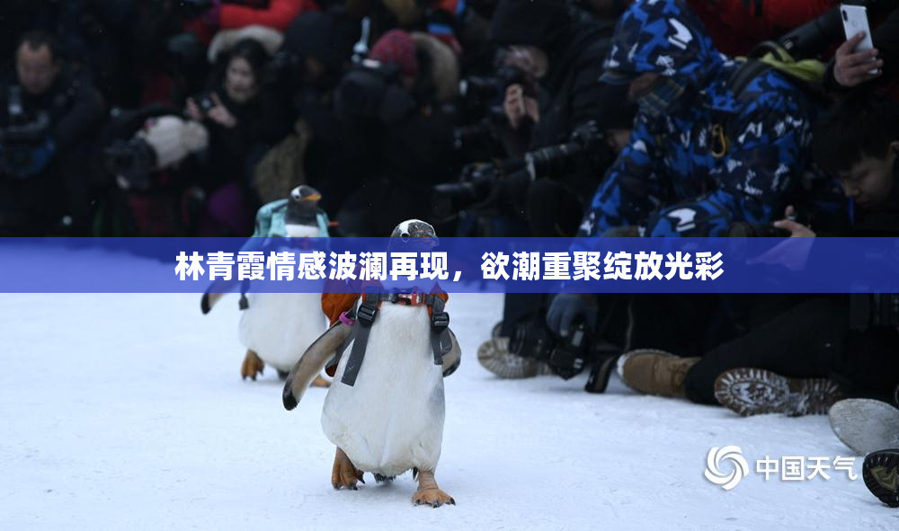 林青霞情感波澜再现，欲潮重聚绽放光彩