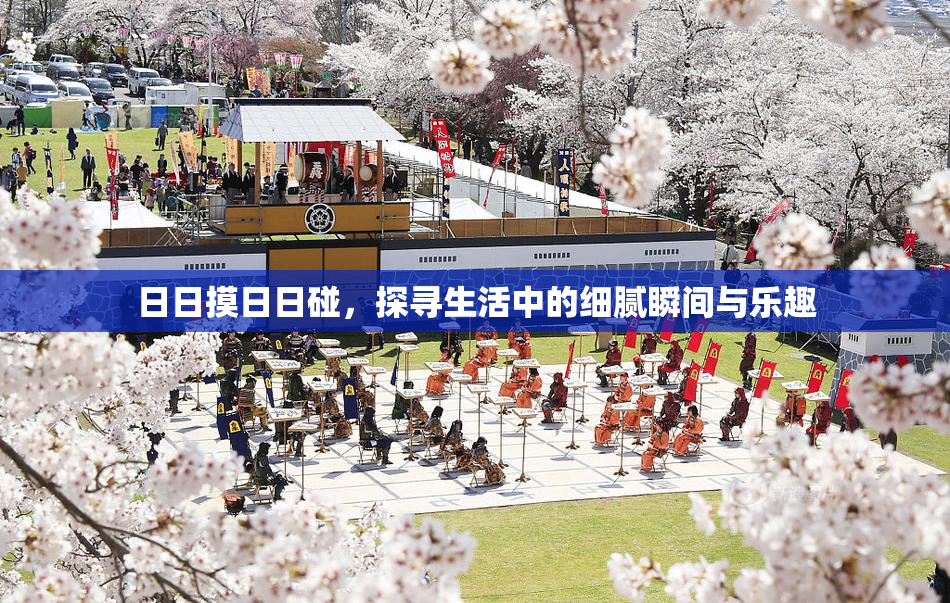 日日摸日日碰，探寻生活中的细腻瞬间与乐趣