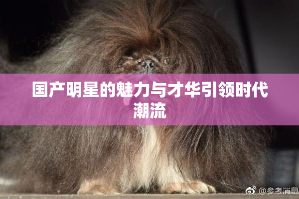 国产明星的魅力与才华引领时代潮流