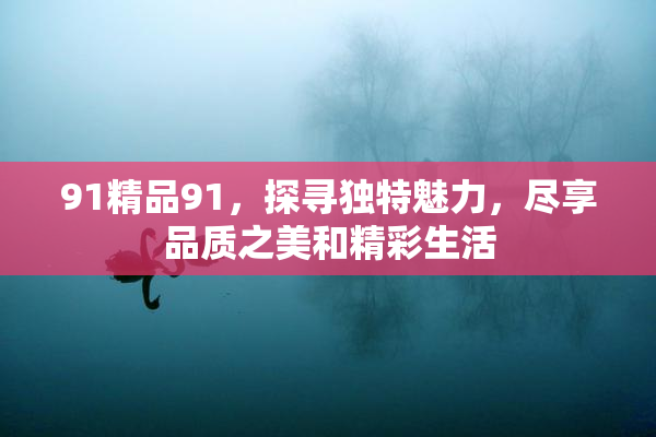91精品91，探寻独特魅力，尽享品质之美和精彩生活