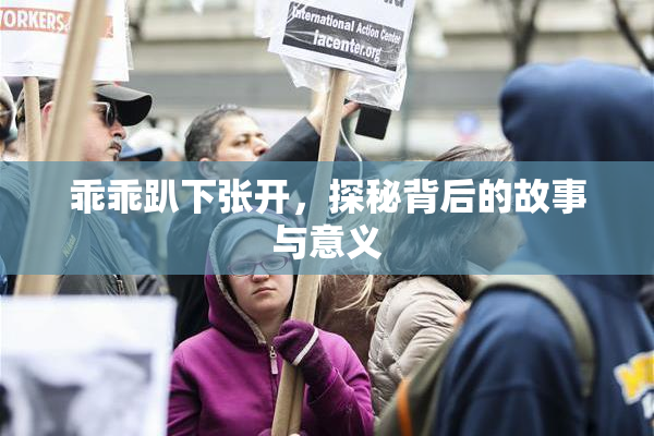 乖乖趴下张开，探秘背后的故事与意义