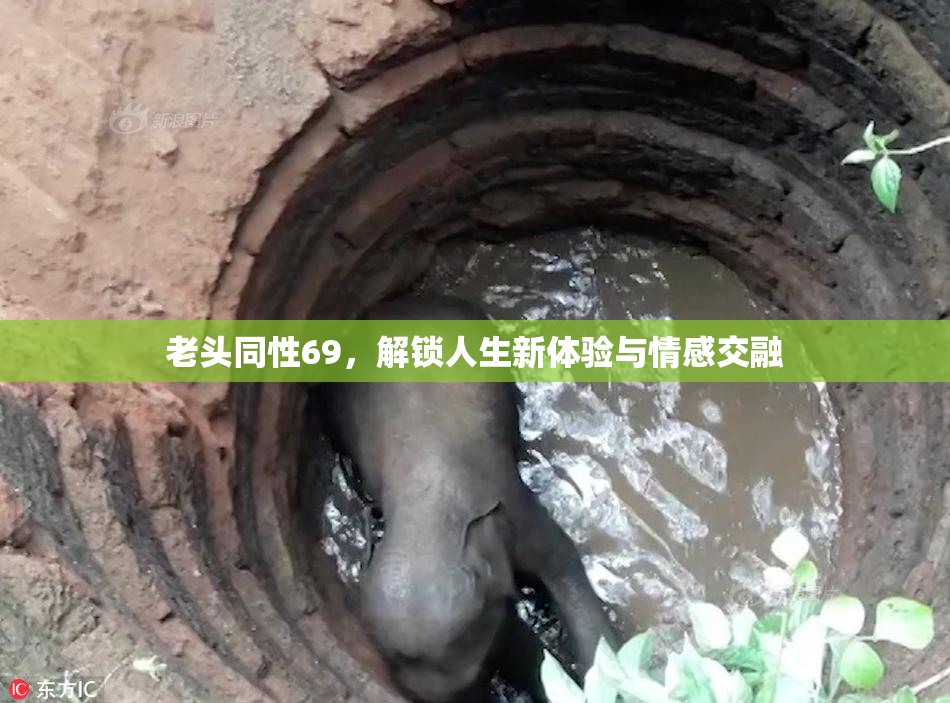 老头同性69，解锁人生新体验与情感交融