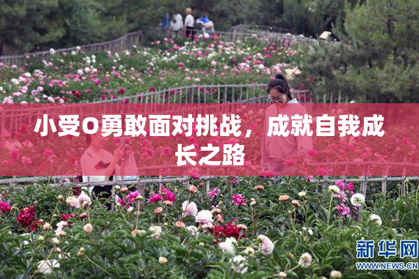 小受O勇敢面对挑战，成就自我成长之路