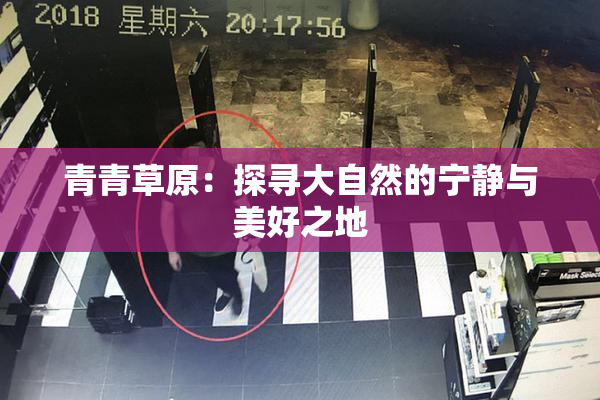 青青草原：探寻大自然的宁静与美好之地